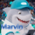 Marvin FLECHA "el famoso"